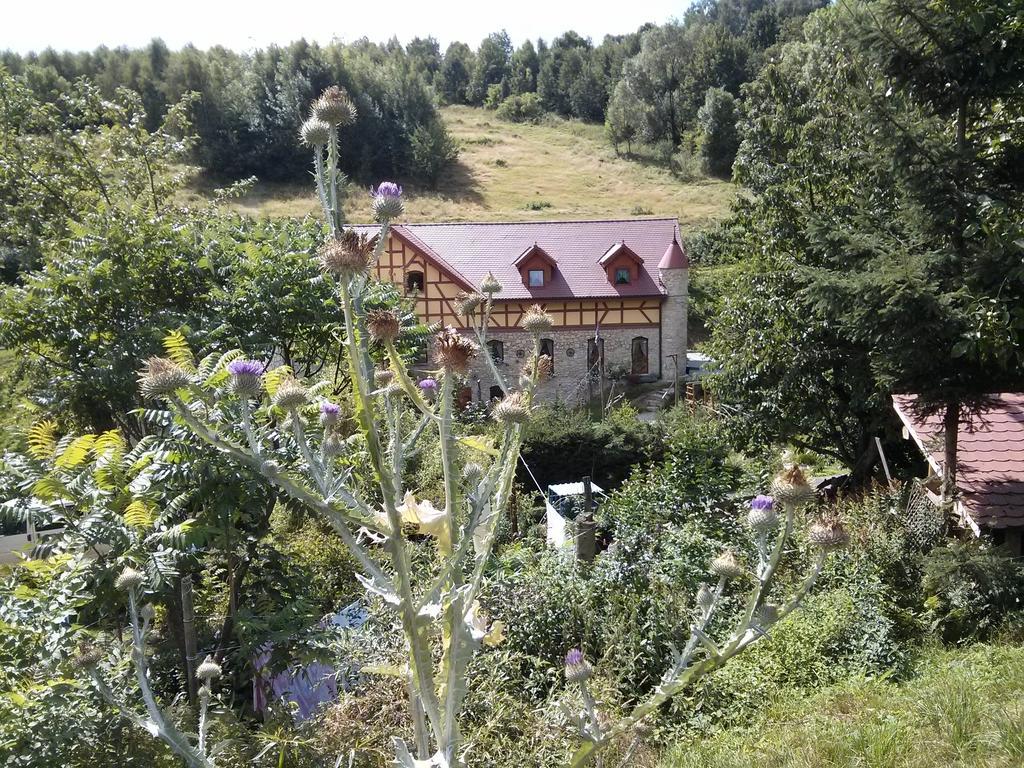 Zbojna Debra Bed & Breakfast Golejów Dış mekan fotoğraf