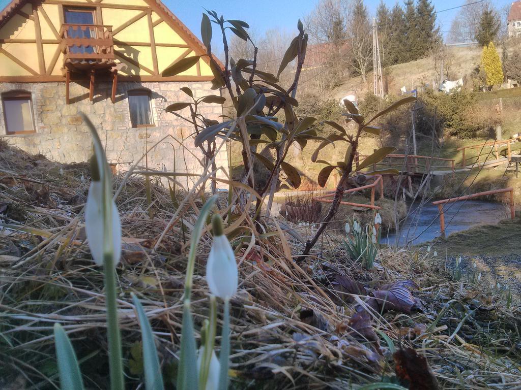 Zbojna Debra Bed & Breakfast Golejów Oda fotoğraf
